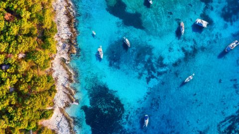 view-on-the-boats-from-drone-blue-water-background-and-coast-with-forest-from-top-view-.jpg