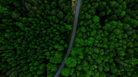 winding-curvy-road-in-forest-aerial-drone-view-aerial-photography.jpg